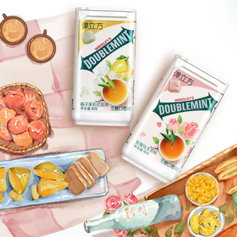 Xylitol Chewing Gum Various Flavors 40g 100% Xylitol Sugar Free Mint Vegetarian Chewing Gum