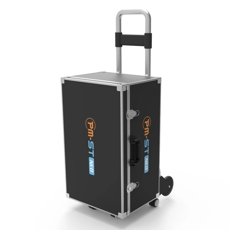 Multifunctional pmst magnetotherapy for horse arthritis treatment electromagnetic pmst neo pulse machine