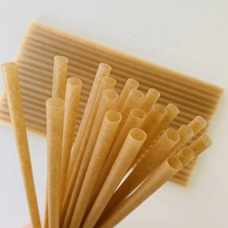 Food Use and Pulp Moulding Process Type edible straws