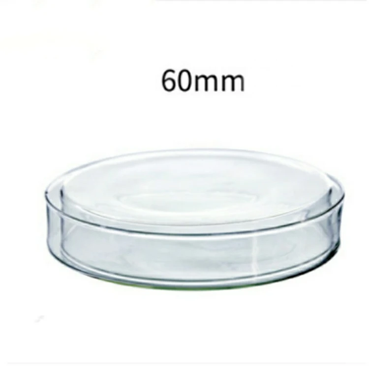 Wholesale Lab Glassware Glass Petri Dish Best for Experiment on Microbiology Glass Culture Dish for Bacteria
