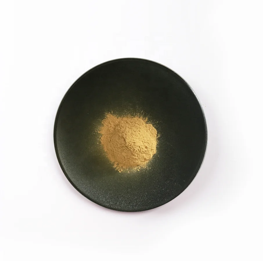 Aurora Pure Milk Thistle Extract Powder Silymarin 40% 80%  UV HPLC