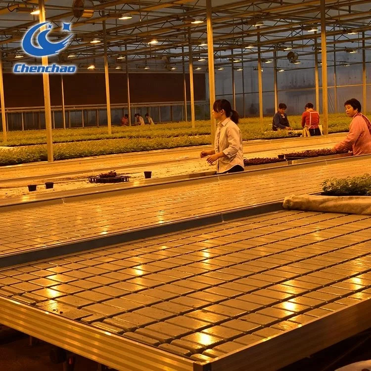 hydroponics Rolling Benches flood tables ebb flow tray