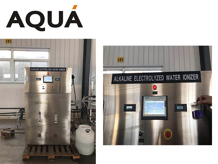 High Quality Membrane Electrolysis Technology HCIO water ionizer / Hypochlorous acid generator