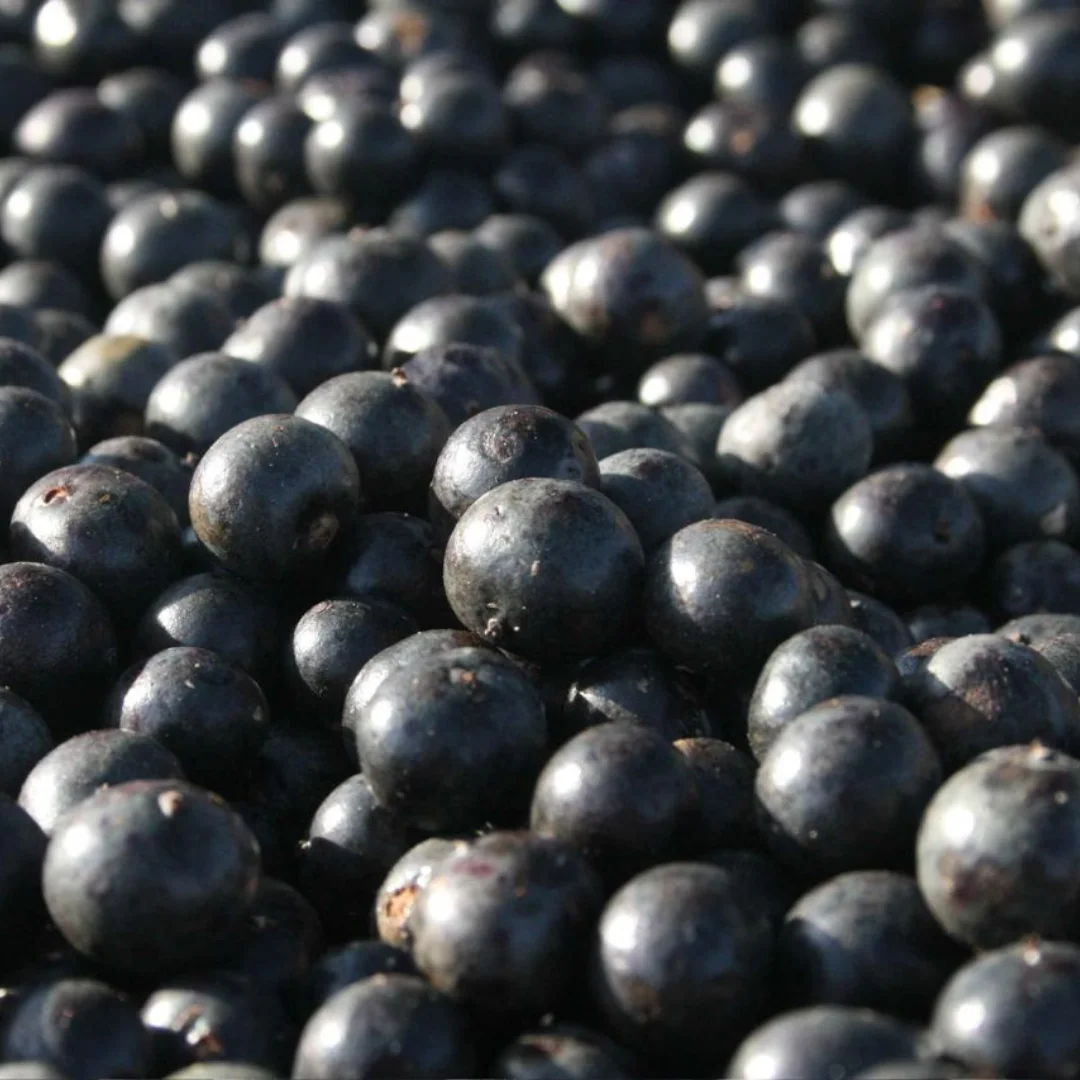 High Concentrated Organic Acai Pulp Frozen Acai Product Frozen Superfood Pulp Acai Berry Puree