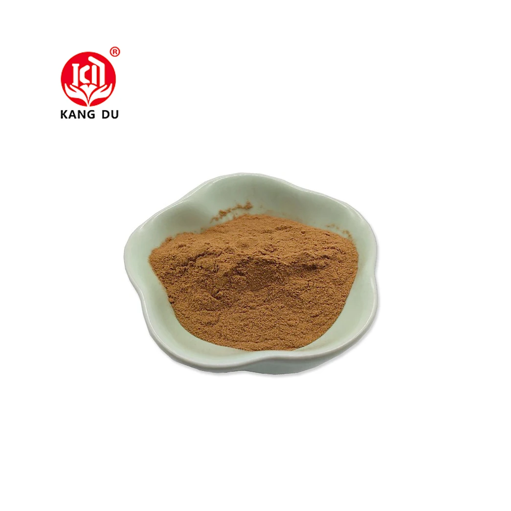 Plant Extract Terminalia Chebula Extract Powder 10:1 powder