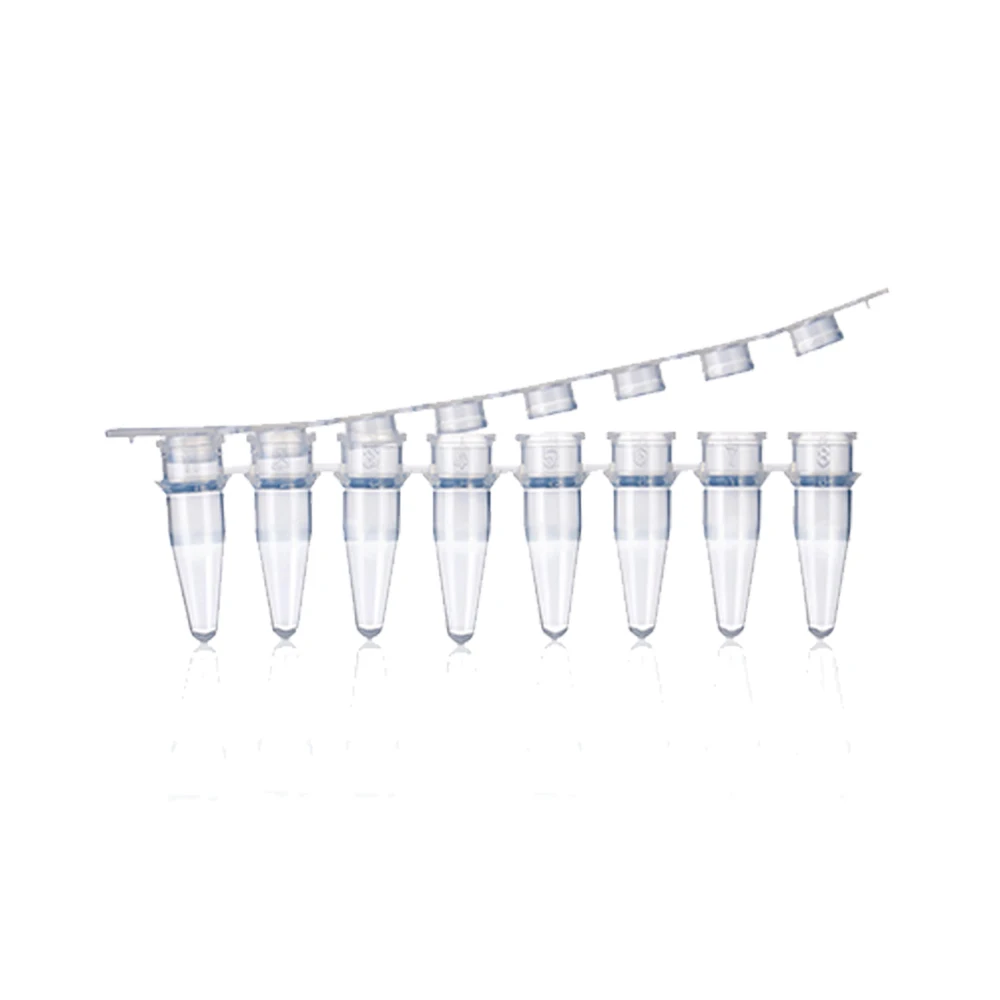 Direct Selling Clear Polypropylene Small Size and Light Weight PCR 8 Strip Tubes for Laboratory (1600282258057)