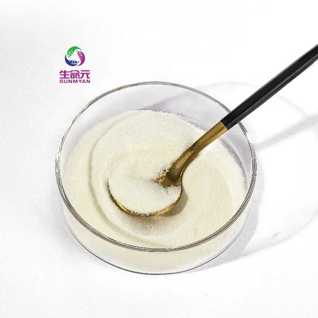 Hurum Fish Collagen 300 Powder 1200 mg Pomegranate Flavor with Small Molecules for Higher Absorption Rate Made in Korea OTILTD