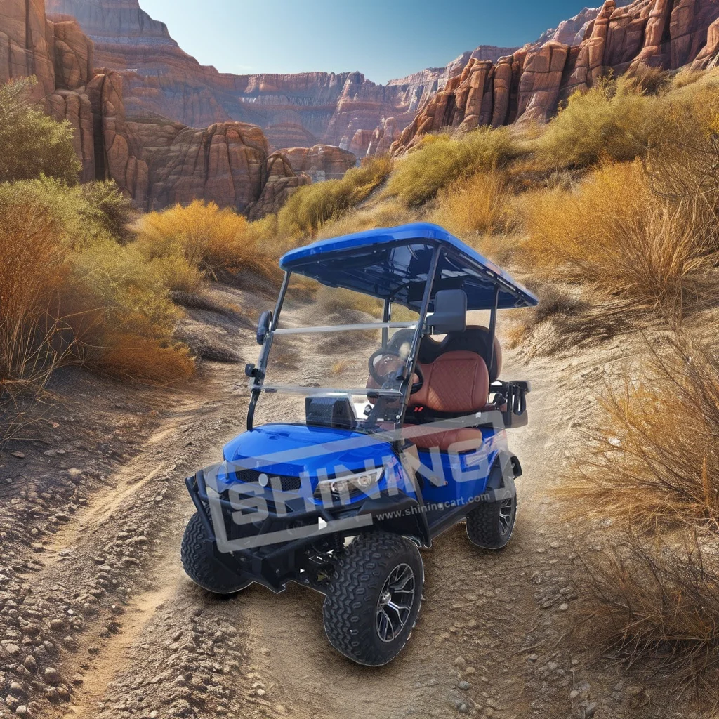 Shining Brand 4 seats electric golf carts universal enclosure with roof rack golf cart