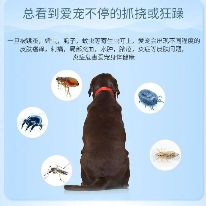 New Tick Remover Tools Value 3 Pack Dog Cleaning Tools flea tick hook pet lice catcher cleaning sets