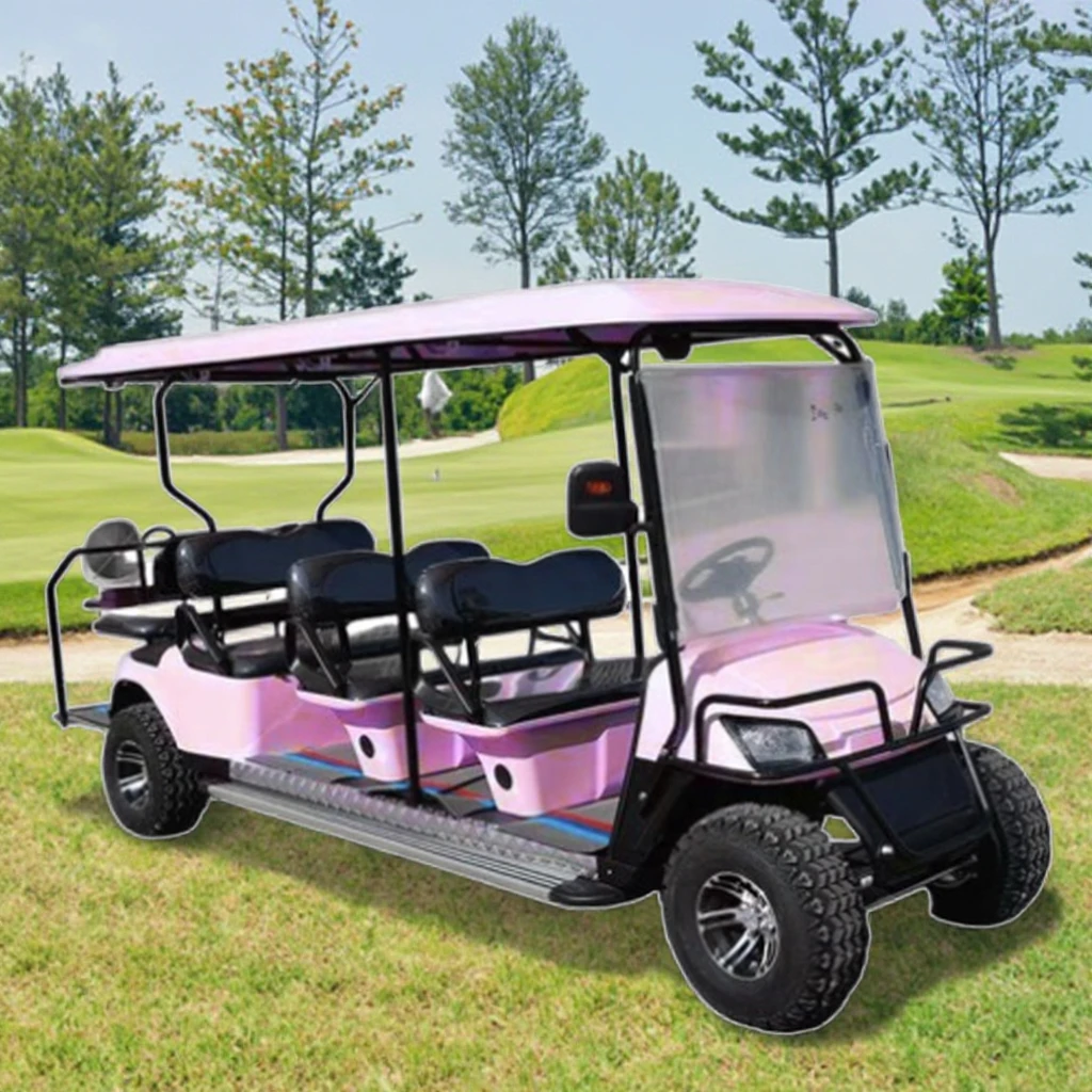 2025 Exclusive New Design Products Parison 4 Wheel Golf Cart Pink With 8 Passengers  Electric Utility Vehicle 2025SDZX12PTPR213