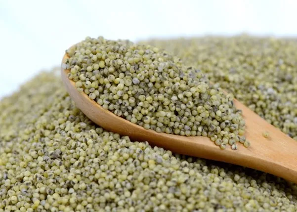 Wholesale Dried Hulled And Unhulled Green Millet Bajra Green Millet