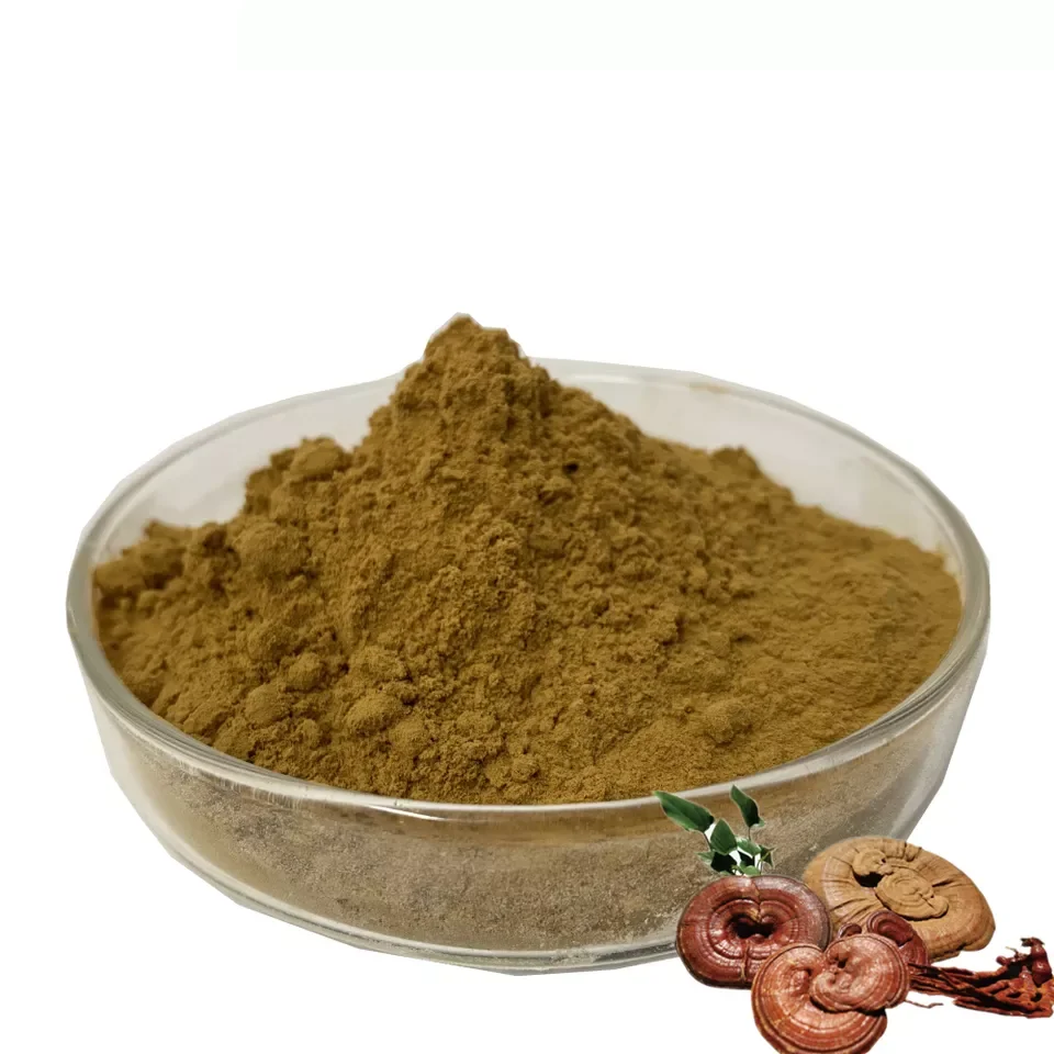 Высокое качество экстракт 10:1 Ganoderma lucidum грибов рейши порошок