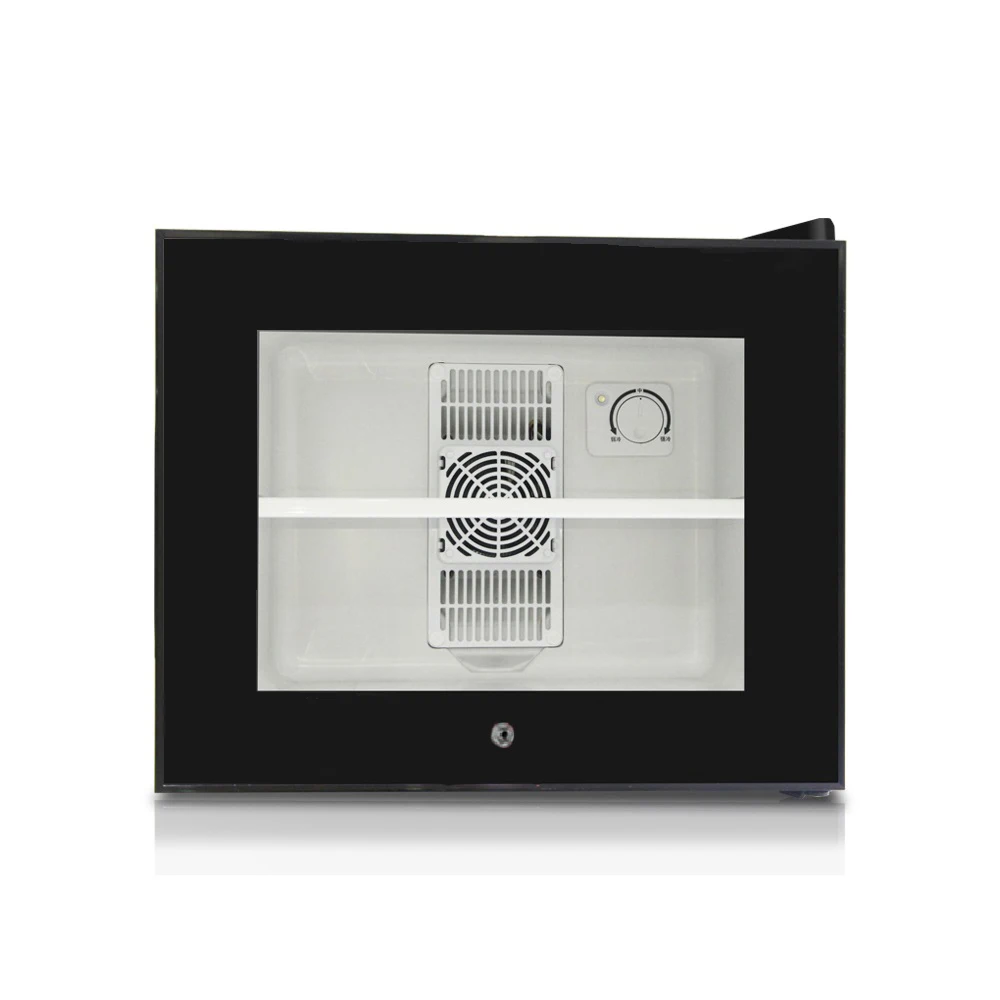 2 layers display glass door 20L portable household mini fridges freezer for sale