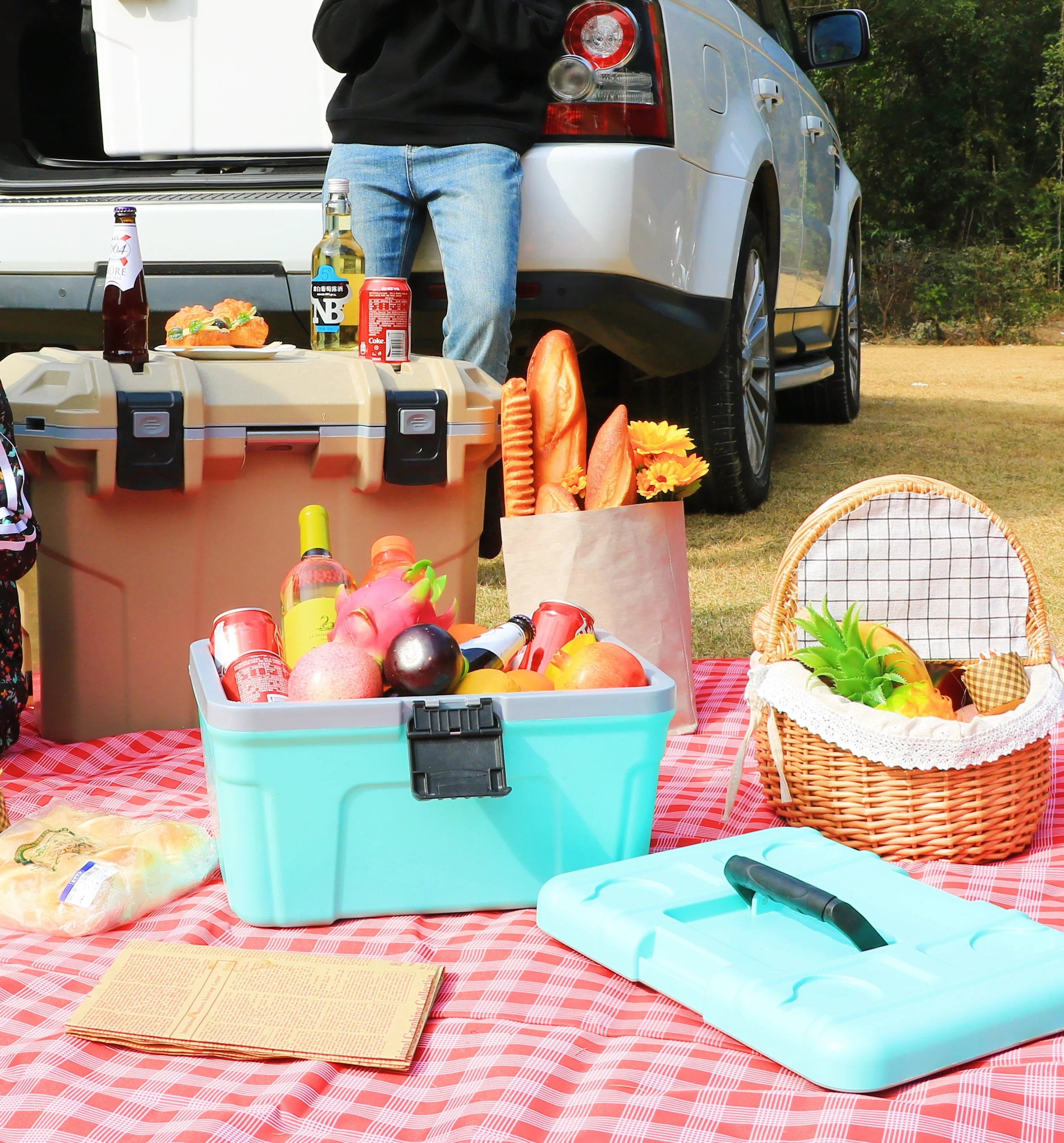 Custom cooler box 12L 13.5L 16L 20L 30L portable box ice cooler for short trip Outdoor Personal cooler