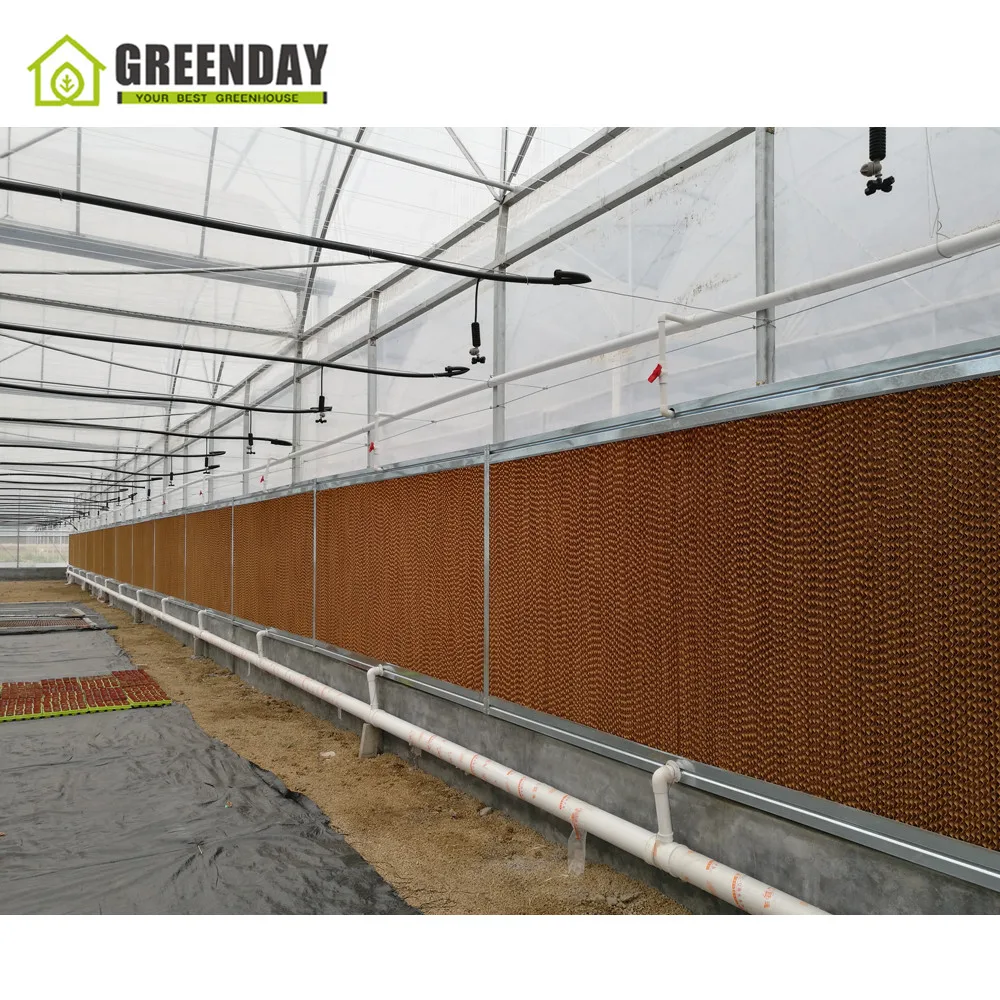 
GREENDAY Commercial wind resistance wooden mini wood glass 10mm polycarbonate sheet greenhouse for home agricultural used sale 