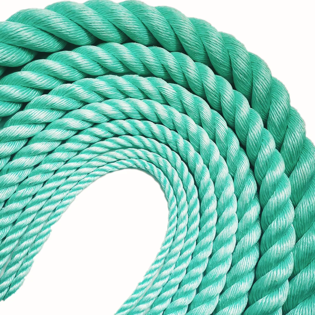Factory Wholesale 3 Strand PP Dan Twisted Rope for Fisheries and Fishing Packaging Ropes