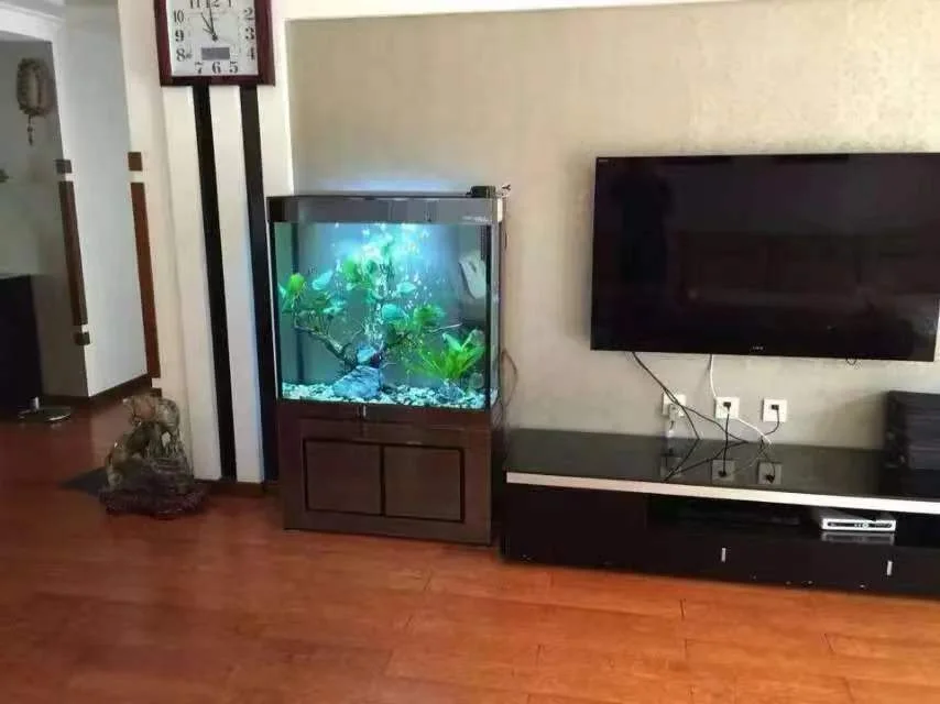Aquarium Glass Customized Color Use Arowana Koi Fish Landscape Fish Aquarium Tank Fish Tank Vertical Home Aquarium 1000 Liter