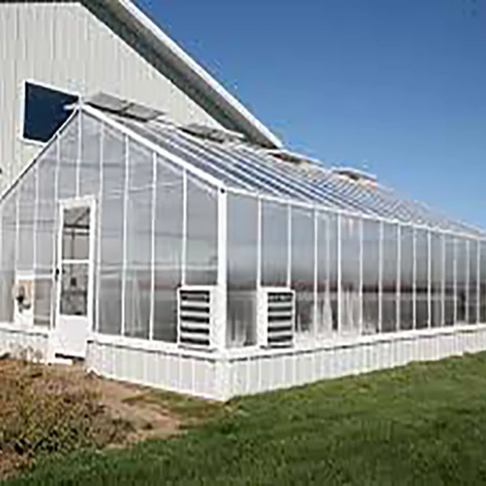 serre tomates multitraves commerciale tunnel / serre agricole prix / serre polycarbonate