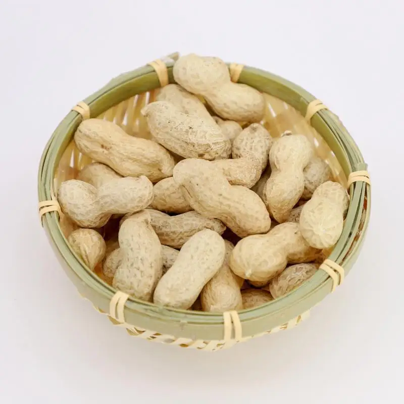 
Exporters of Quality Peanuts, Groundnuts Wholesale Fresh Style peanuts without shell blanched peanut kernels 