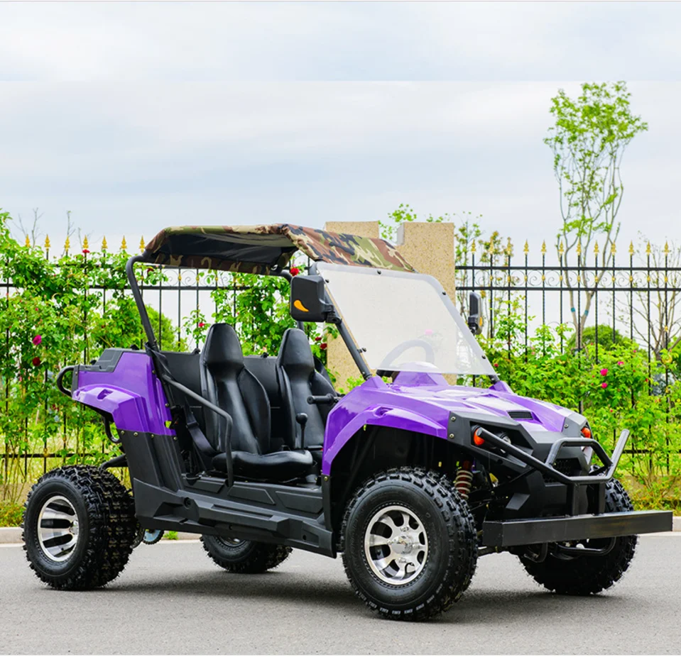 300cc UTV Go Kart /Automatic Buggy Farm Vehicle
