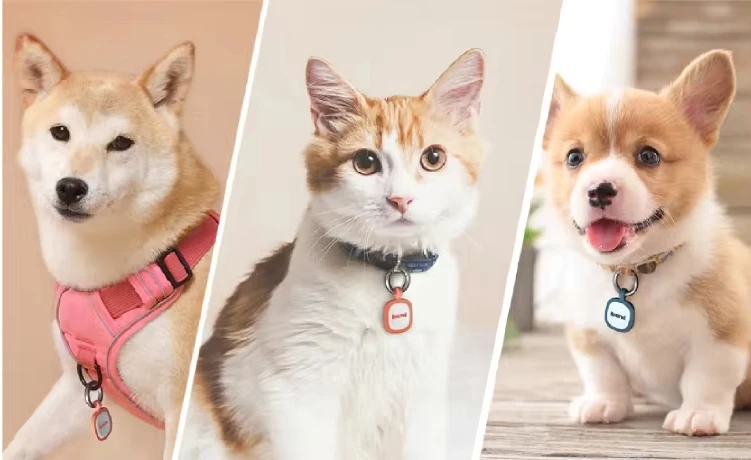 Customizable Cheap QR Code Pet Dog ID Tracker Durable and Easy to Use