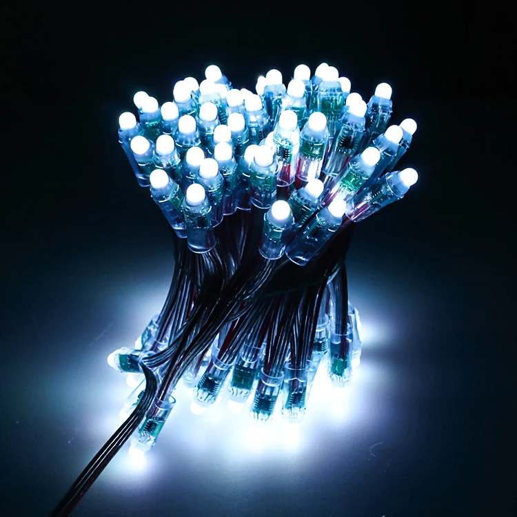 SHIJI Outdoor Full Color 12V 2811 12mm Round Led Pixel GS8208 Break Point Resume Led String Light Christmas Lights