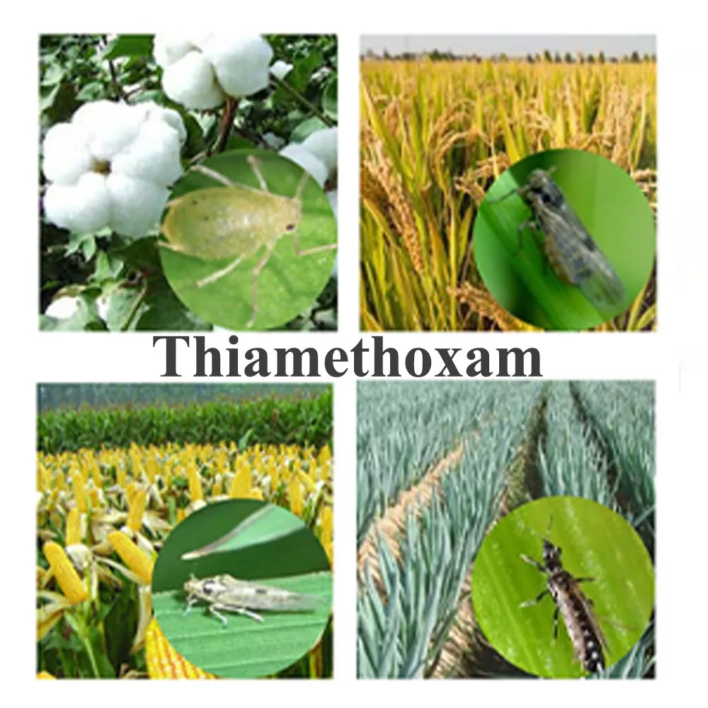 agrochemicals thiamethoxam 25%wdg Thiamethoxam 97% TC 35% FS 70%WS 35 fs