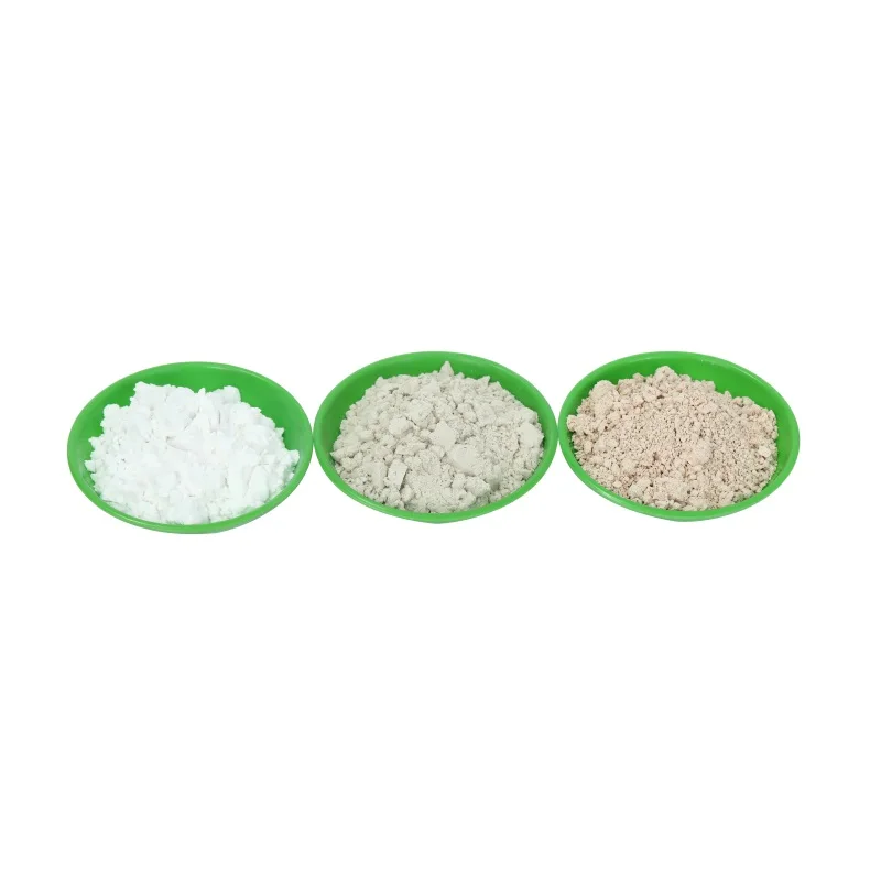 Wholesale Bigger Manufacture Cheaper Diatomite Price Diatomite Powder for Gardening