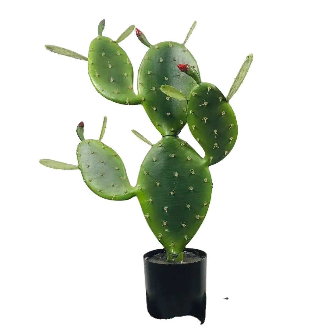 Home Decor Artificial Cactus Succulent Plants Bonsai Plastic Faux Desert Plants For Indoor Sale
