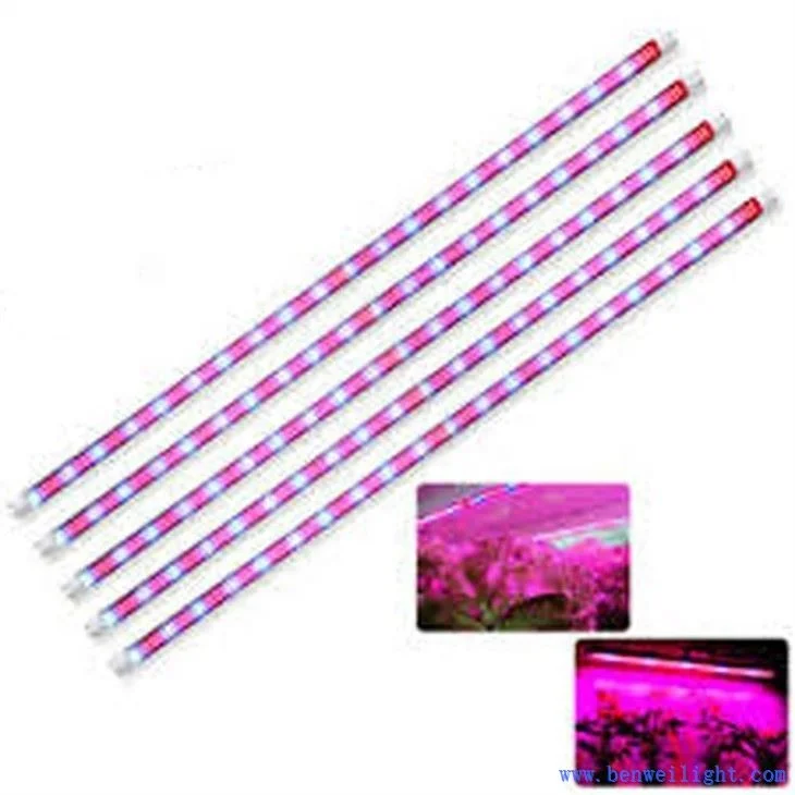 Led Lamp For Plants Flower Lamp Seeds To Plant Grow Indoor Plant Growing Light for Interior Cultivation Cabinet Camping Tent