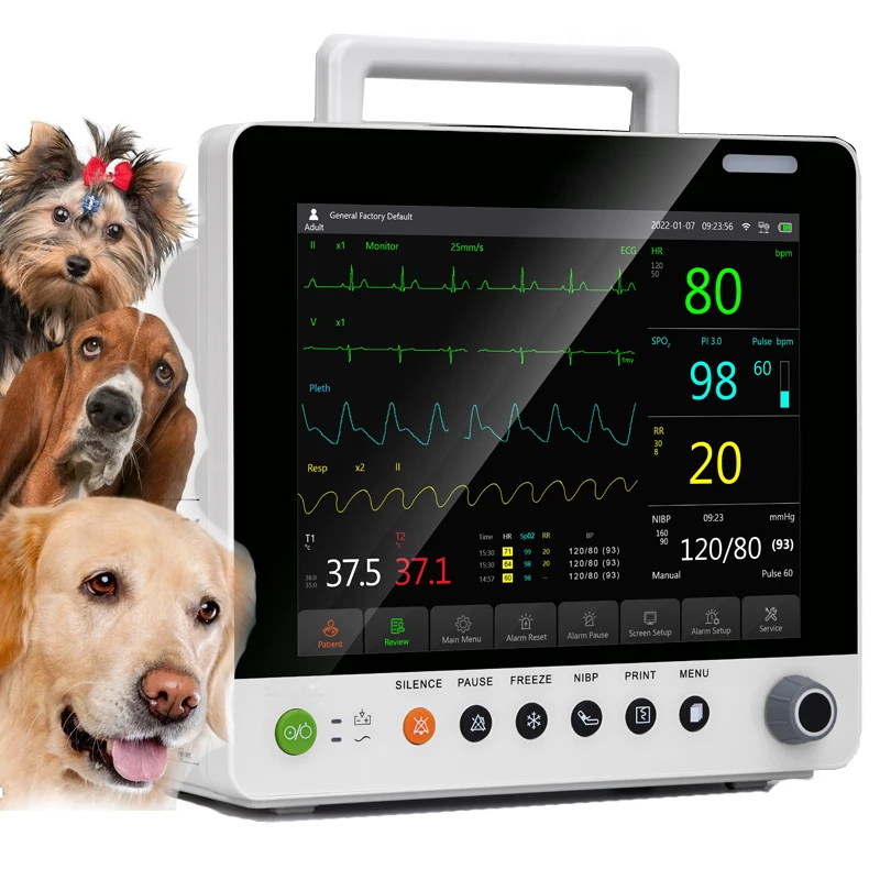 China Wholesale Multiparameter Monitor Veterinary Blood Pressure Nibp Nonitor Handheld Veterinary Patient Monitor Veterinary