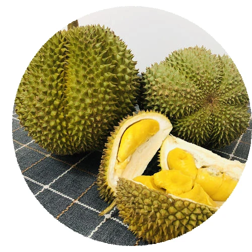 2021High yield Durio zibethinus seeds/to tropical fruit seeds