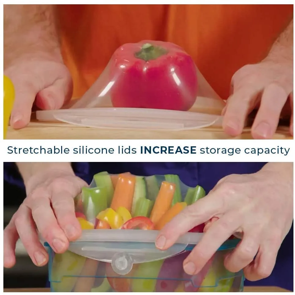 transparent sealed food storage container