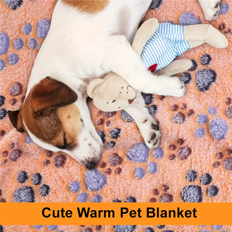 Custom Comfortable Soft Warm Cute Car Fluffy Flannel Fleece Pet Cat Dog Blankets for Small Large Dogs