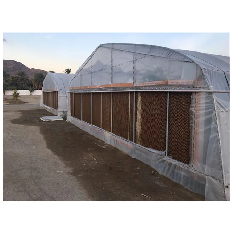
Skyplant Galvanized steel Frame Single span PE Film greenhouse for Agriculture Low cost Tunnel greenhouse for flowers plant 