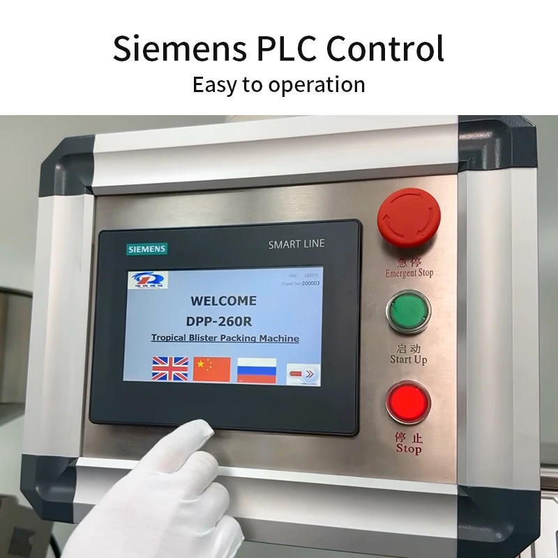 DPP-250 Automatic Flat Plate Alu Alu Tablet Capsule Packaging Pill Blister Sealing Forming Strip Blister Packing Machine