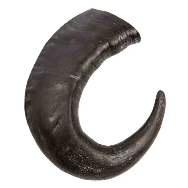 Natural Quality Ready For Export Buffalo Top Quality good quality customized For Sale 100% Buffalo Horns