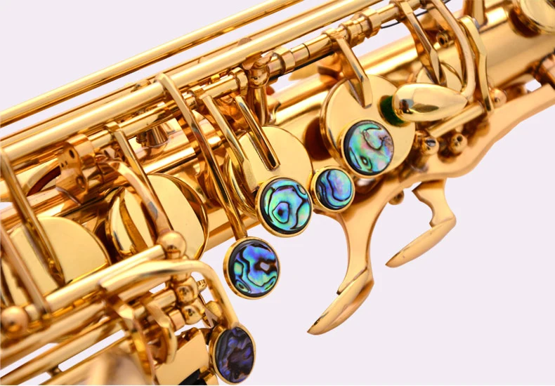 Gold Lacquer AE-802 Brass Alto Sax Instrument Accessories Professional Eb  China Sax Saxophone Alto