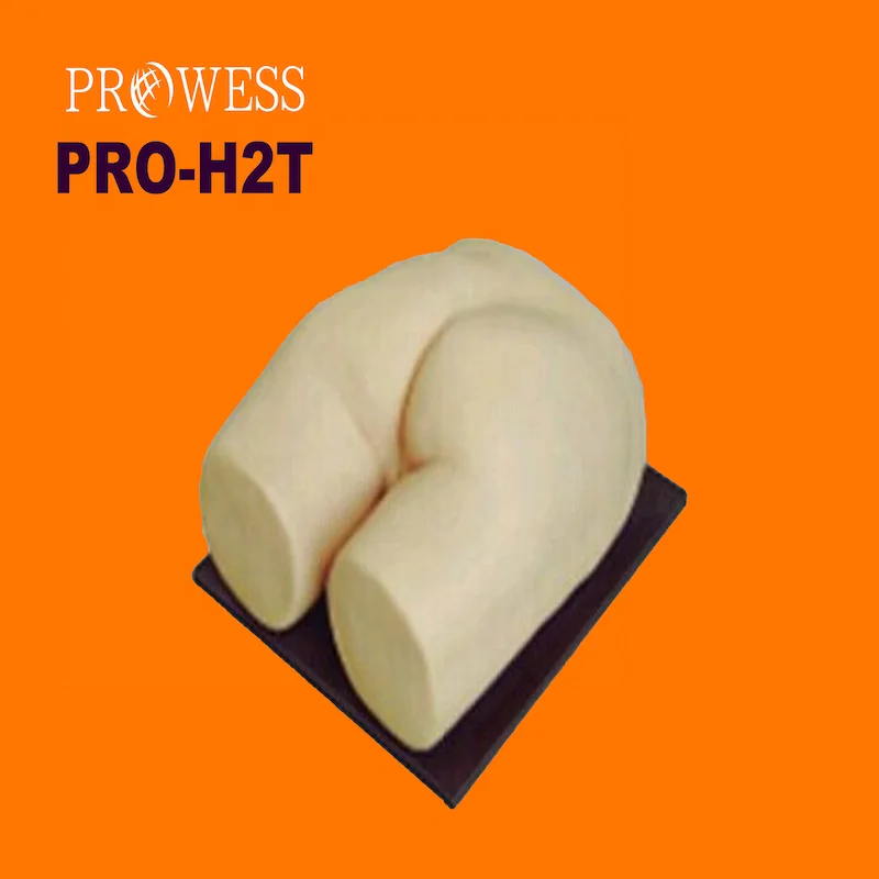 PRO-H2T Nursing Skill Training Silicone hip injection model/ Buttocks Injection Training Simulator mould for sale