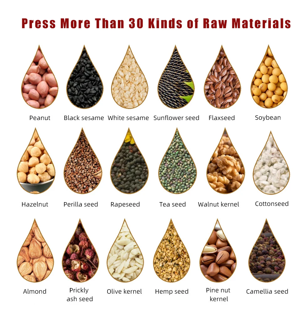 Fully Automatic Small Electric Oil Press Machine Oil Making Processing Machine Mini Seed Oil Pressers Comercial