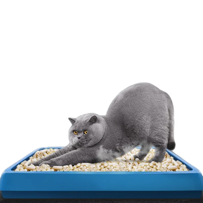 Cat Litter Bentonite Granules Purified Pet Bentonite Granules Pet Care Product Organic Cat Litter