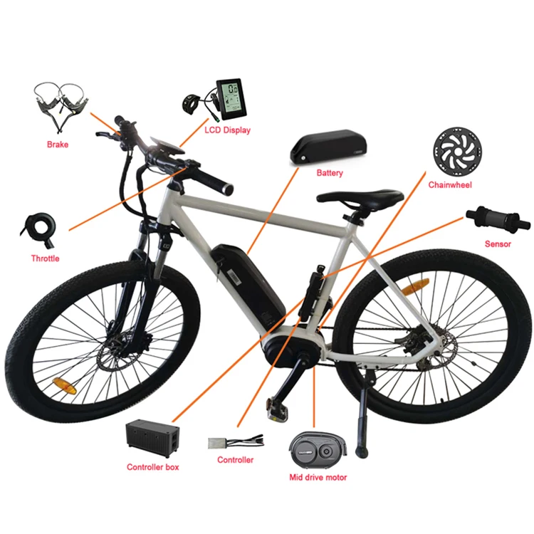 36V 48V 250W 350W Mid Motor With Coaster Brake Mid Drive Motor For Ebike M01