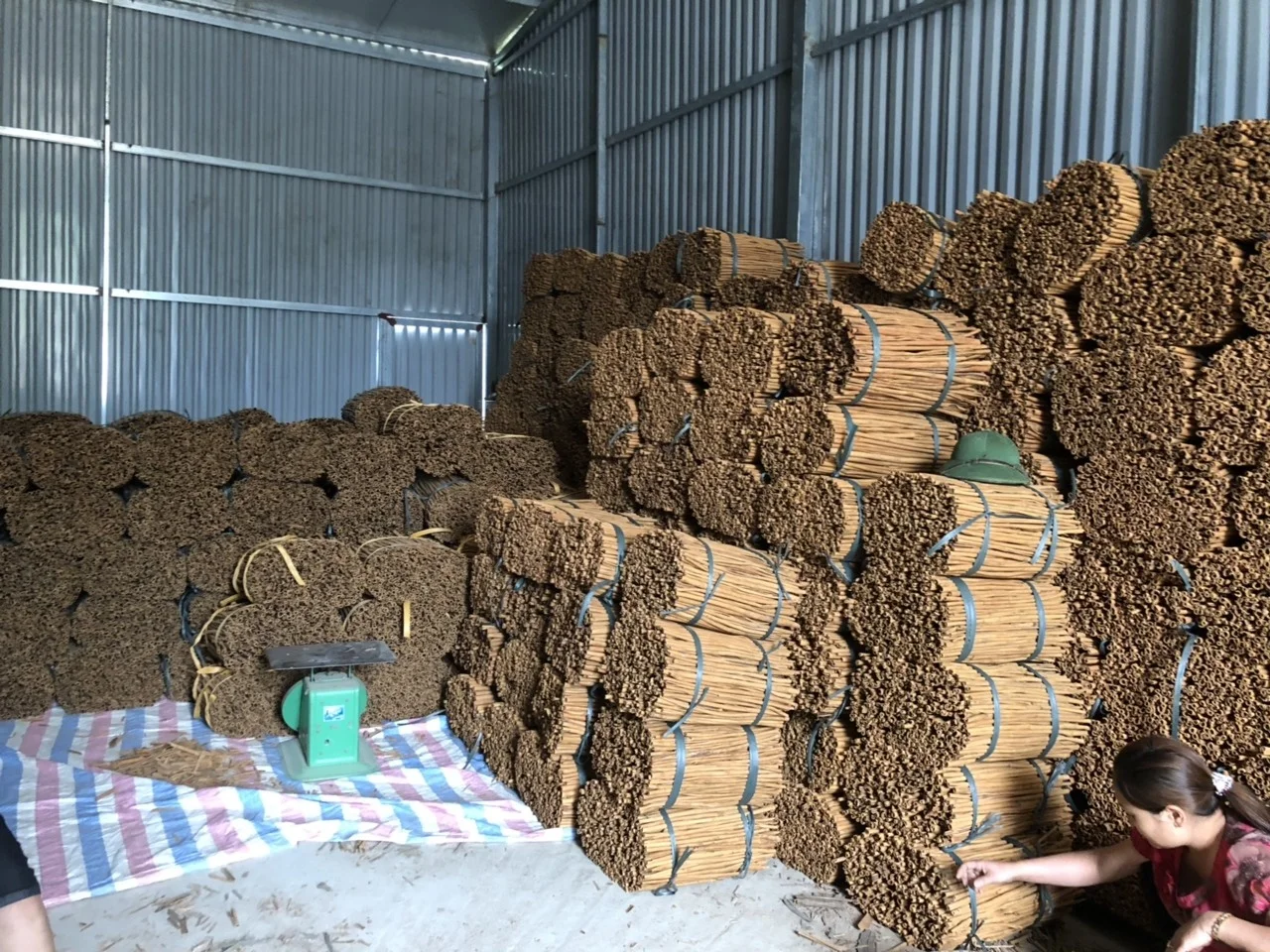 Sai Gon Long Stick Dalchini / Cassia Cinnamon From Viet Nam