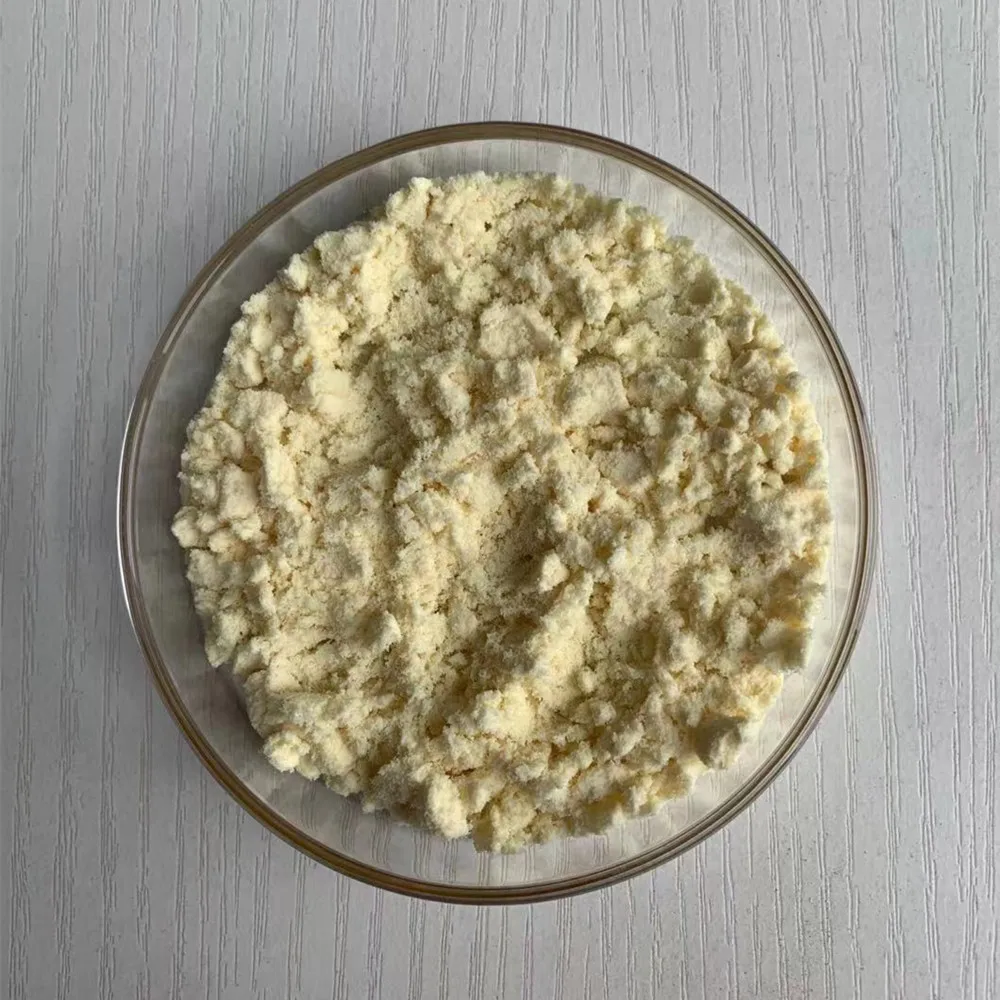 High Quality Ginger Extract Gingerol 5% Ginger Powder Water Soluble Ginger Extract