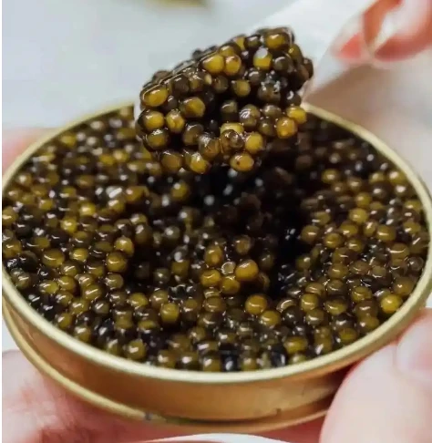 Мгновенная Черная икра красота и уход за кожей свежий водный соус икры осетрА суши специальная Икра быстрого приготовления оптовая продажа