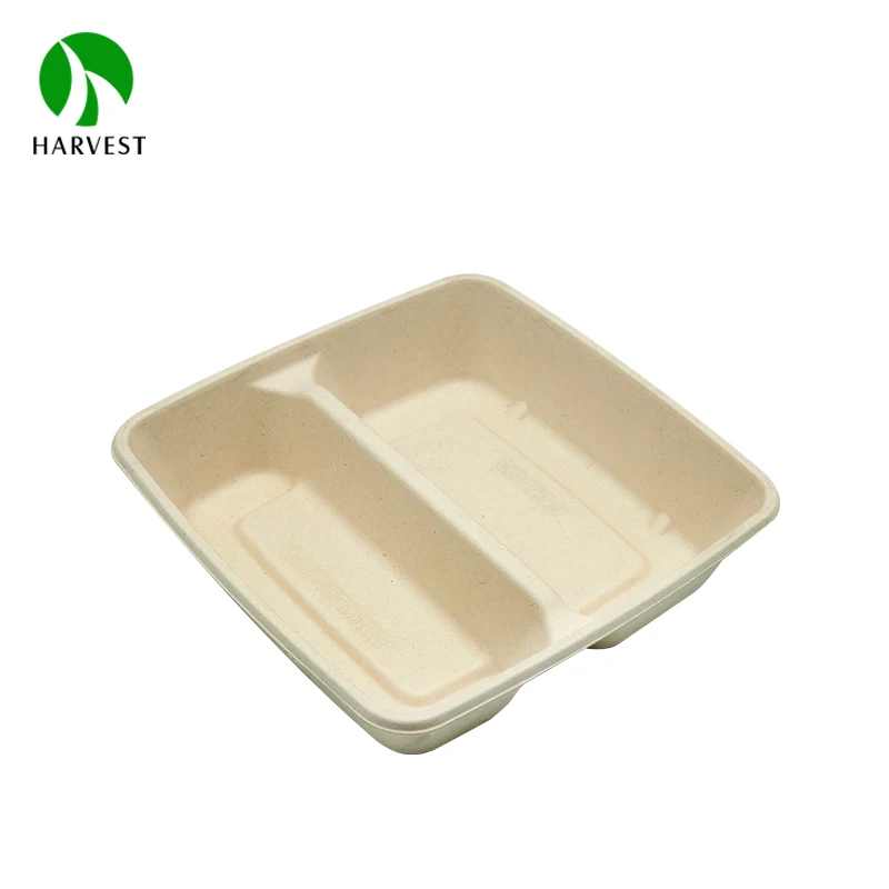 Bagasse 8x8 inch 2 Compartment Sugarcane Pulp Fiber Food Packaging Lunch Box Container With Lid