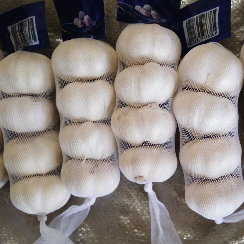 Garlic Price in China Fresh Normal White Origin Type Size Product Place Model hot selling for export