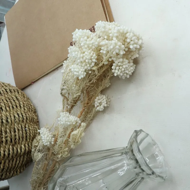 Wedding Flower Most Popular Wholesale Preserved Bleached Rice Flower For Home Decoration baby pampas white hydrangea asparagus