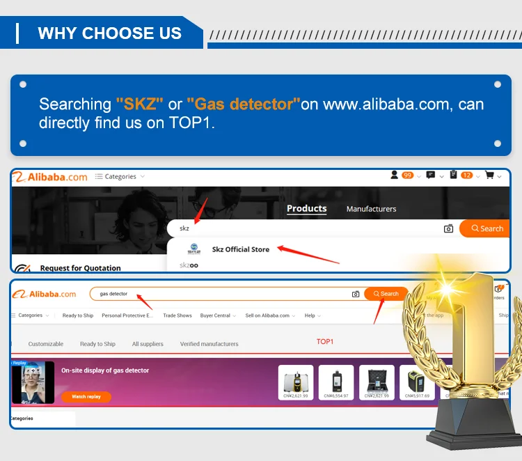 Factory cheap price hydrogen sulfide gas leakage detector with alarming function