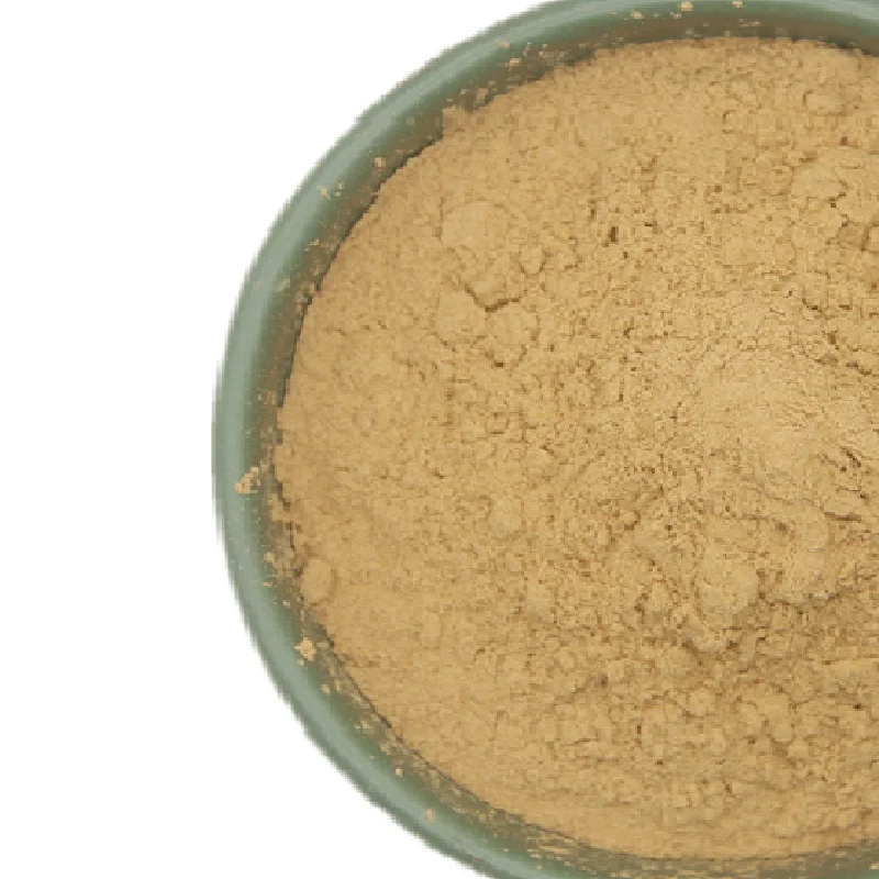 GMP Kosher Natural Gynostemma Pentaphyllum Extract 80% 98% Gypenoside